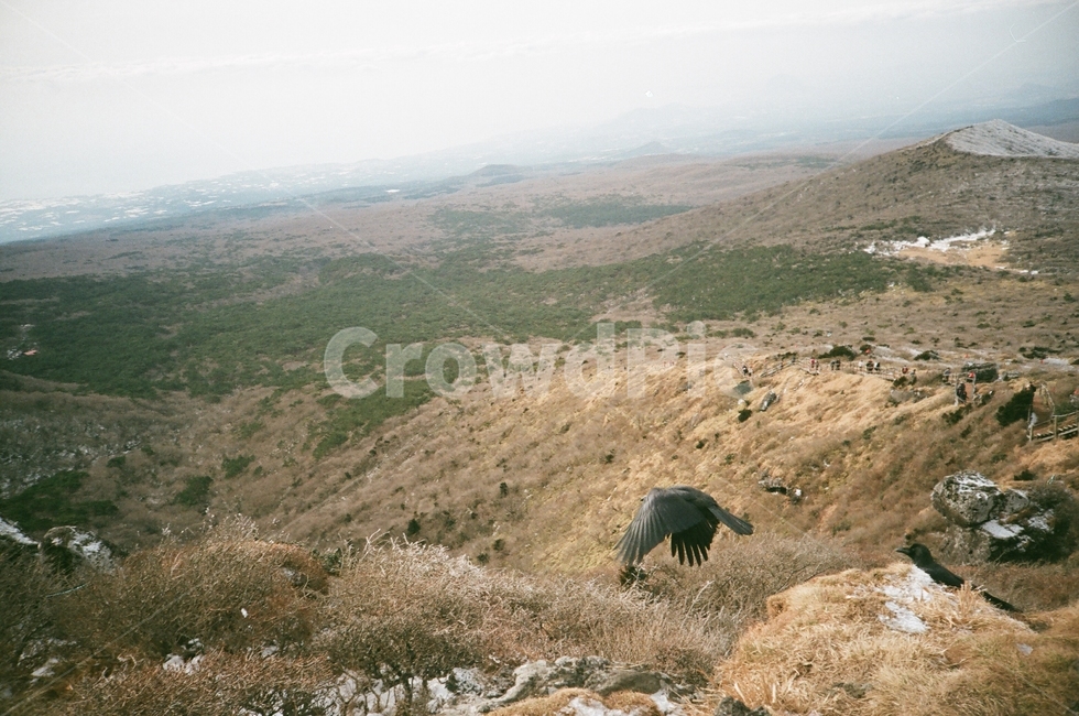 까마귀,한라산,영실코스,산,겨울산,제주도