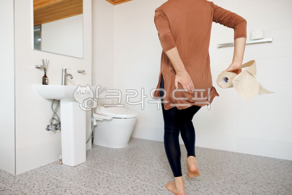화장실,여자,설사,항문,장염,변기,달리기,달려가는,배탈,위생,휴지,두루마리,복부,배,배아픈,괴로움,화장지,고통,건강,변비,복통,식중독,질병,손,결장,대장,소화불량,소화,염증,직장