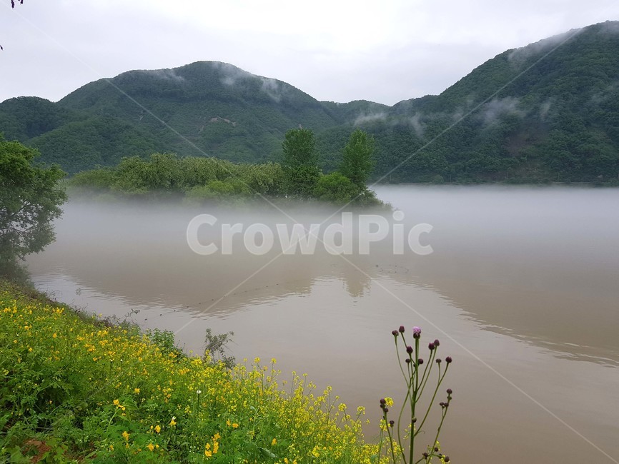 물안개핀강,강,호수,물안개,꽃,자연,풍경,nature,landscape,outdoors,옥외,weather,날씨