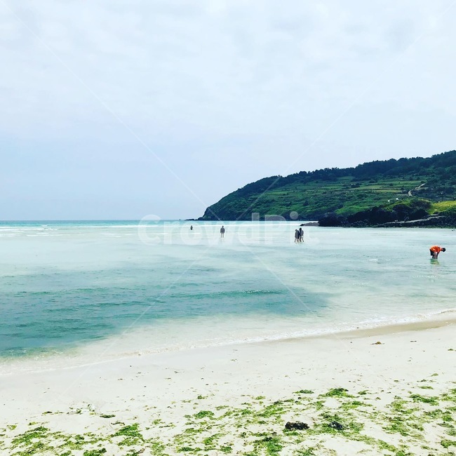 water,물,바다,sea,ocean,해안가,해안,자연,풍경,nature,landscape,해변,바다,beach,sea,outdoors,옥외,land,땅,shoreline,해안선,대양