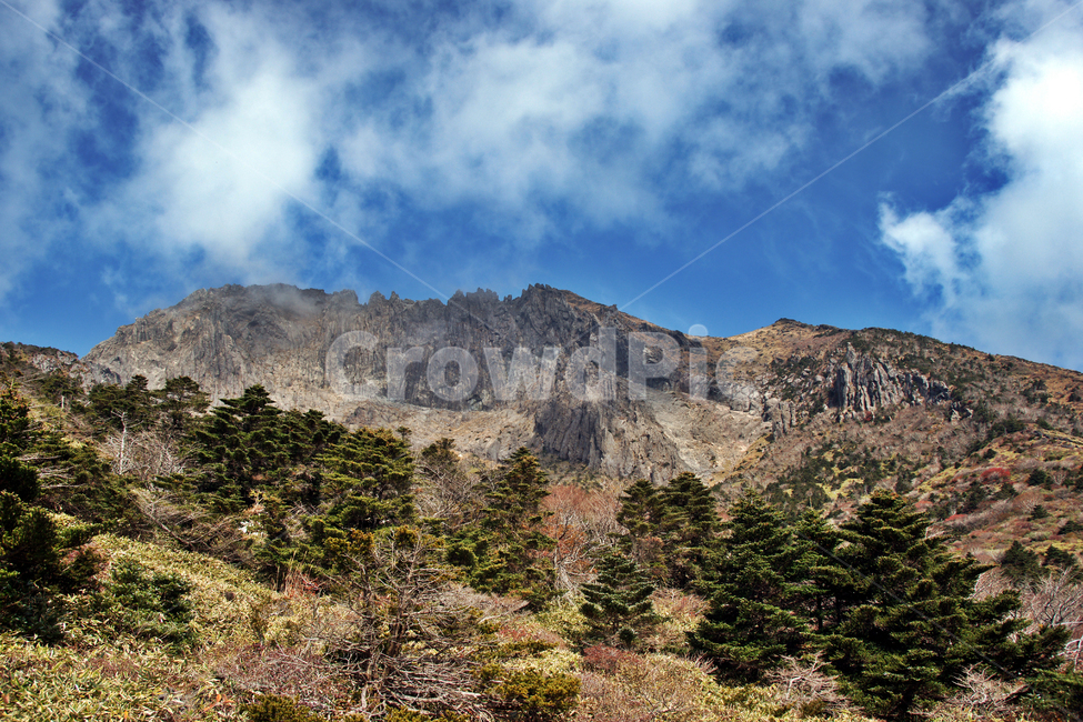 남벽,한라산,제주도,한라산국립공원,돈내코코스,조릿대,관목,푸른하늘,구름,암벽,제주도,jeju,jeju island,plant,식물,tree,나무,fir,전나무,abies,아비