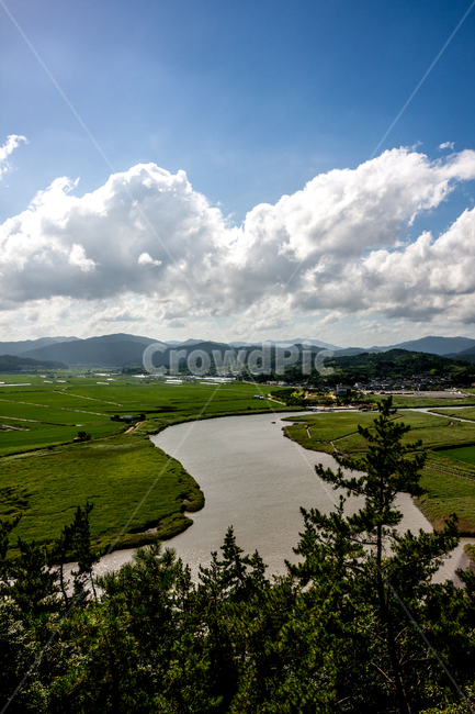 nature,자연,landscape,경치,풍경,scenery,옥외,outdoors,순천만