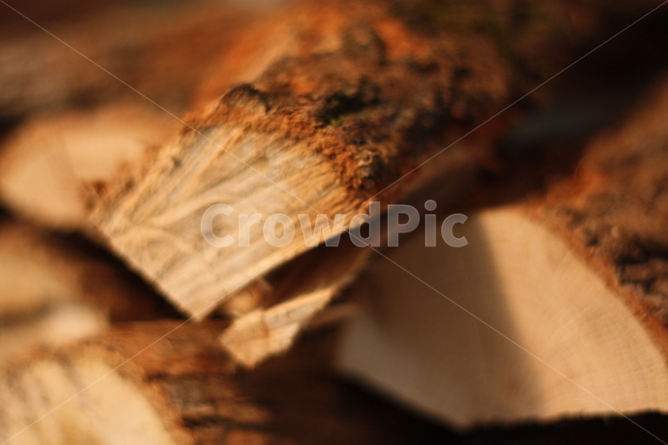 나무,배경,장작,포근한,가을,나무,trees,wood