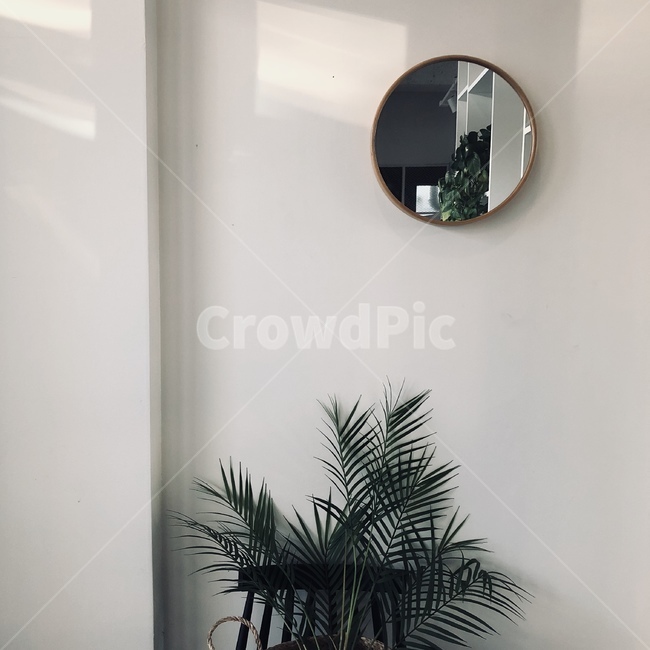거울,장식,식물,인테리어,공간,빈티지,심플,인테리어,실내디자인,interior design