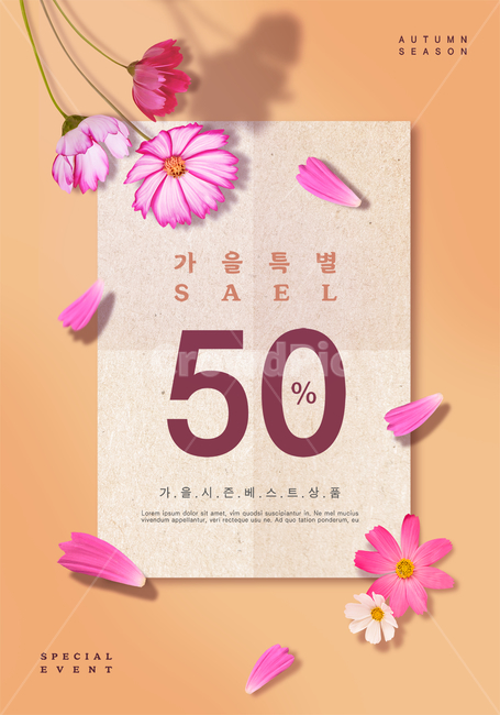 가을,쇼핑,팝업,편집,이벤트,할인,세일,시즌,광고,포스터,코스모스,종이,꽃,꽃잎,배경,백그라운드,가을,계절,fall,autumn,season,쇼핑,shopping,그래픽,일러스트레이션,graphic,illustration
