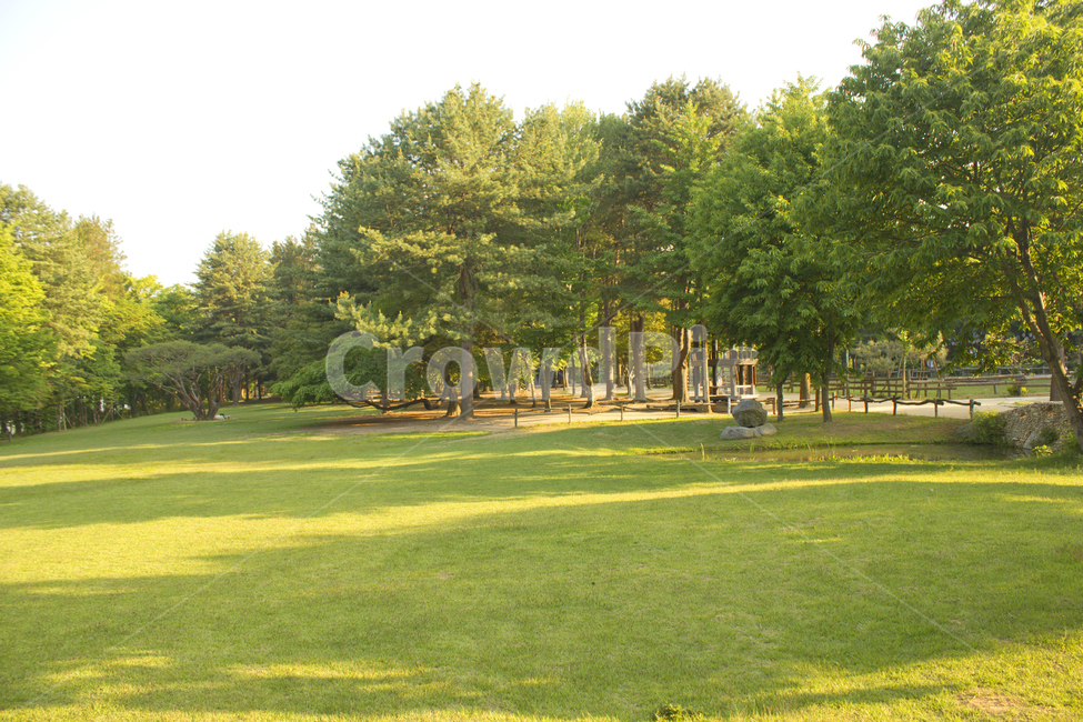 한국,공원,정원,실외,야외,숲,나무,식물,자연,풍경,잔디,잔디밭,그림자,녹색,그린,초록색,낮,춘천,남이섬,나미나라,대한민국,풀,들,수풀,시골,수림,삼림,들판,나무그림자,경치,전원풍경,전원경치