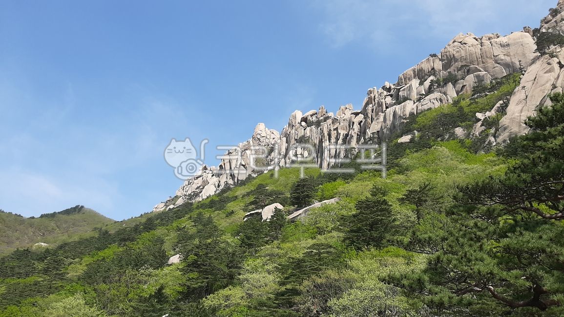 설악산국립공원,울산바위,산꼭대기,seoraksannationalpark,산봉우리,나무,식물,숲,산,자연,경치,배경,풍경,바위산,명소,rock