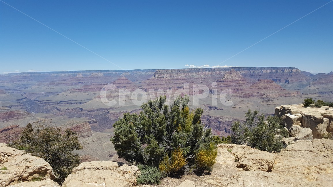 grandcanyon,canyon,그랜드캐년,미서부,캐년