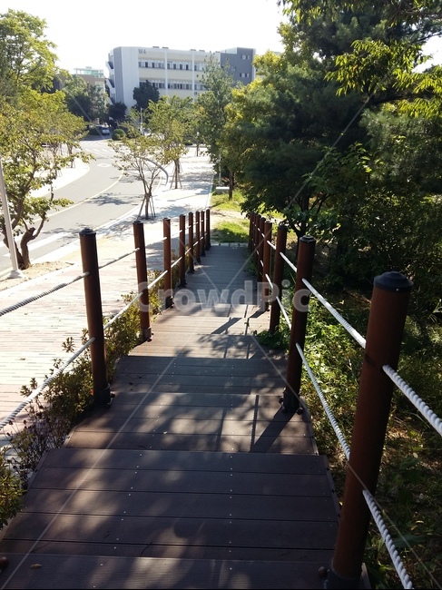 계단,산책로,나무,가로수,건물,산책,길