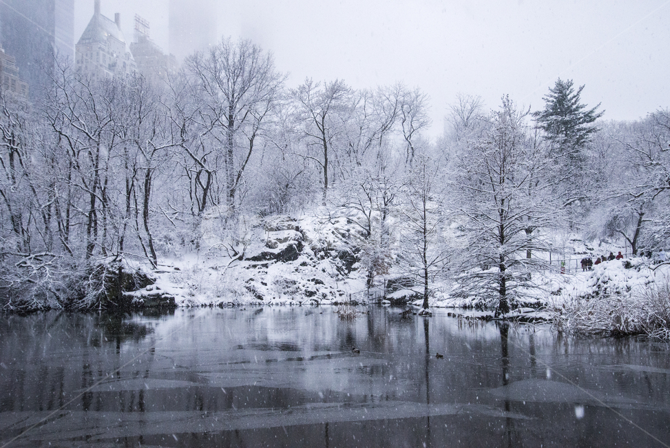 nature,자연,outdoors,옥외,ice,빙,뉴욕,호수,나무,공원,숲,snow,winter,lake,forest,frost,겨울,계절,winter,season