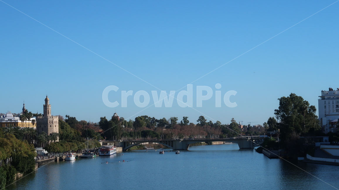 다리,나무,풍경,강,강가,하늘,도시,풍경,city,landscape,해외,외국,세계,foreign,oversea,world,세계도시풍경,해외도시풍경,외국도시풍경,world cityscape,water,물