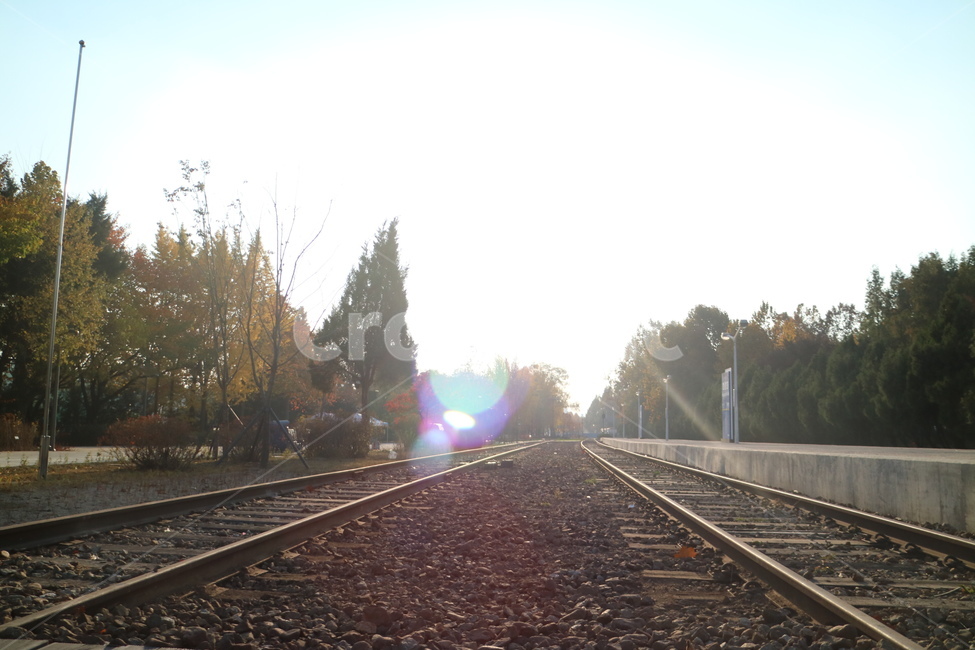 기찻길,rail,철도,railway,빛