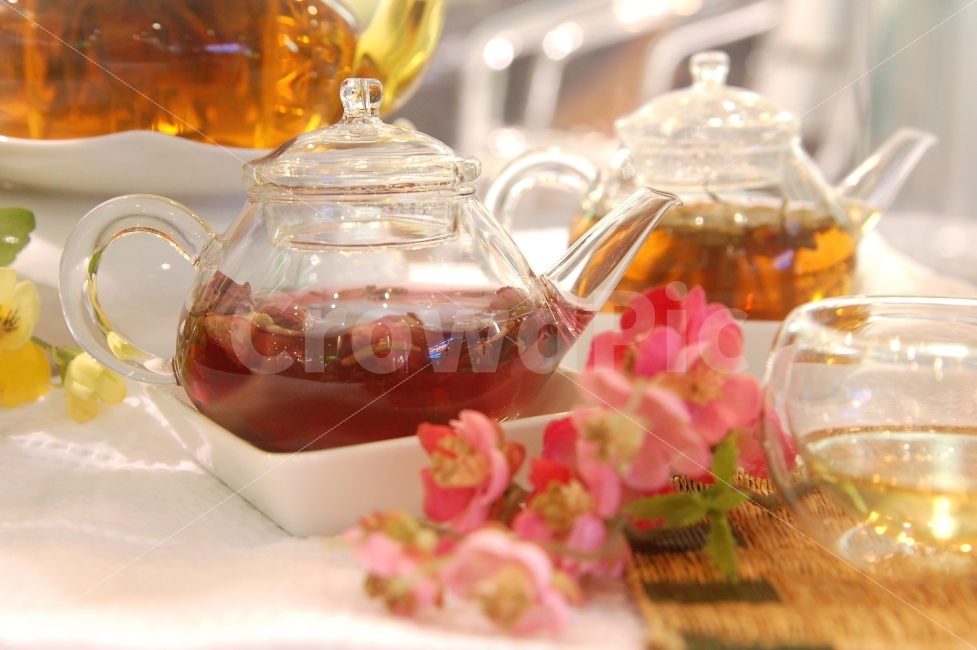 국화차,차,주전자,꽃차,꽃,허브차,음료,티,오브젝트,장식,꽃장식,음료수,drink,beverage,휴식,힐링,rest,relaxation,healing