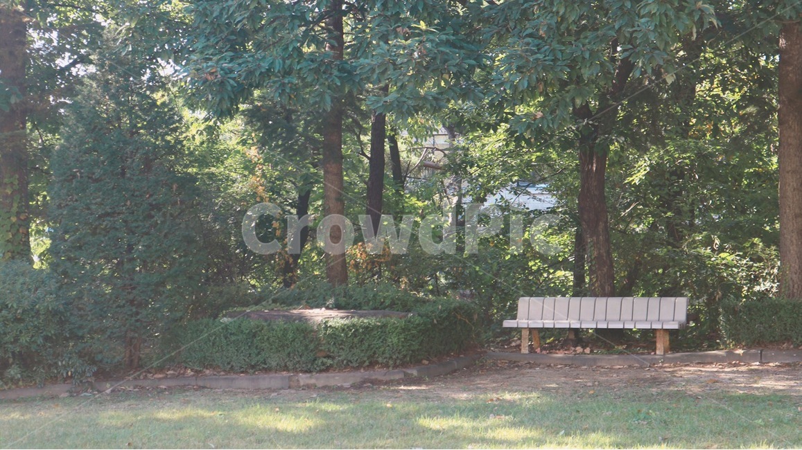 furniture,가구,bench,벤치,야외,옥외