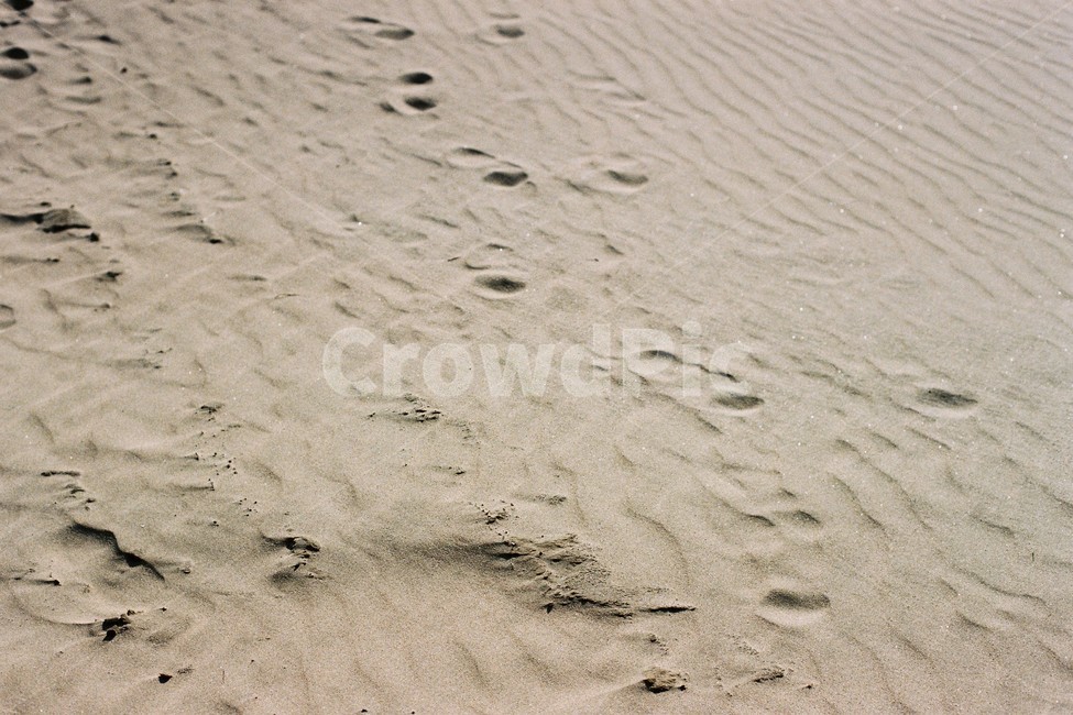 백사장,발자국,발,해변,감성샷,분위기,모래,해변,바다,beach,sea