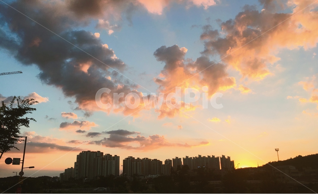 일산,하늘,석양,구름,아파트