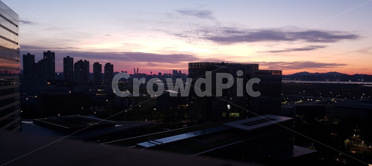 일출,sunrise,풍경,야경,도심,감성,하늘,보라,purple,sky,sunset,야경,밤,풍경,nightscape,night,landscape,도시,city,outdoors,옥외,경치,nature,자연,scenery