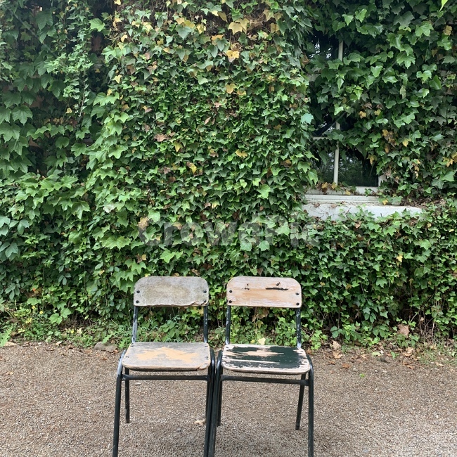미술관,외로움,의자,커플,자연