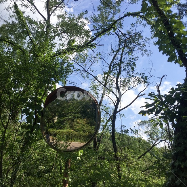 산,등산,숲속,자연,나무,풀,파릇파릇,초록,산속