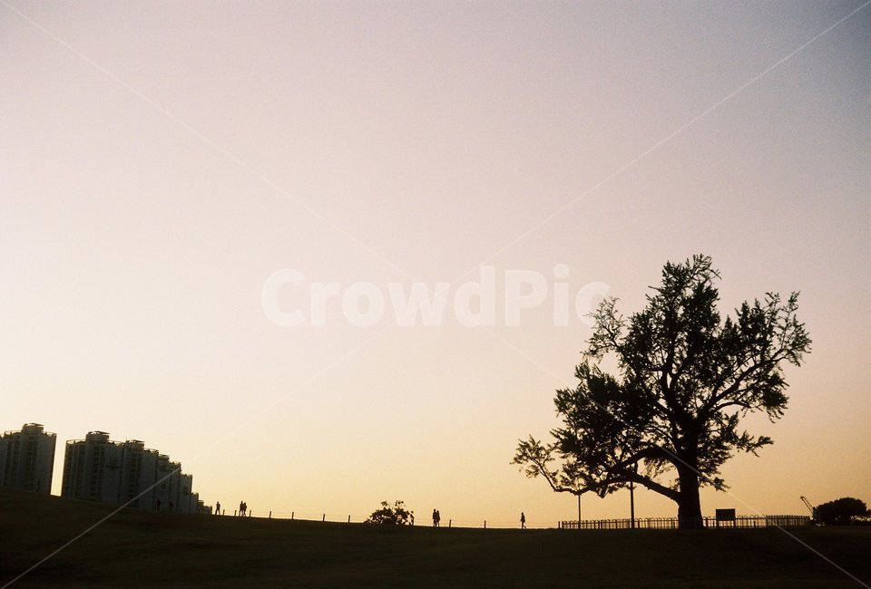 공원,노을,나무,하늘,일요일,자연,풍경,nature,landscape,실루엣,그림자,silhouette,shadow,outdoors,옥외