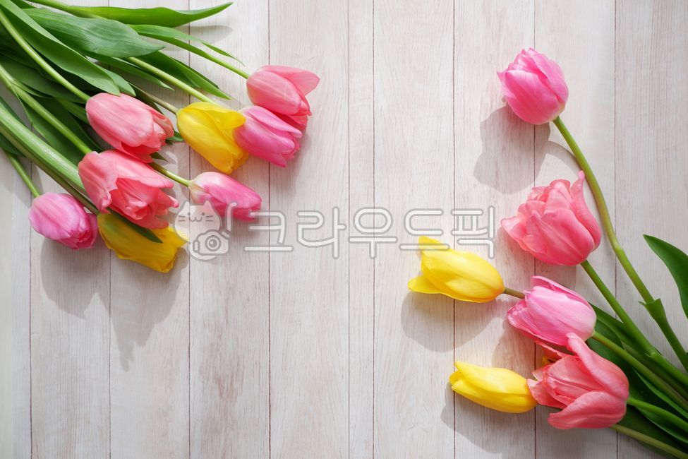 love,Tulip,wooden table,Spring background,yellow flower,wood background,pink flower,flower,spring,spring flowers,thanks,plant,tulip flower,wood,pink tulips,flower background,yellow tulips