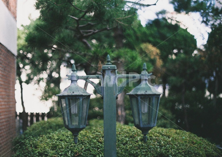 가로등,공원,산책,길,마당,뒷뜰,불빛,등,전등,여름,필름사진,필름