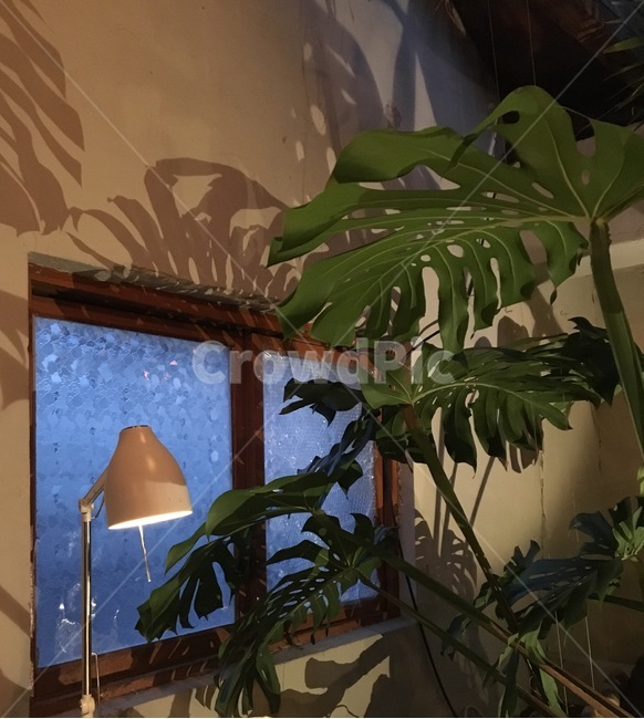 분위기,그림자,실내,스탠드,나무,인테리어,실내디자인,interior design