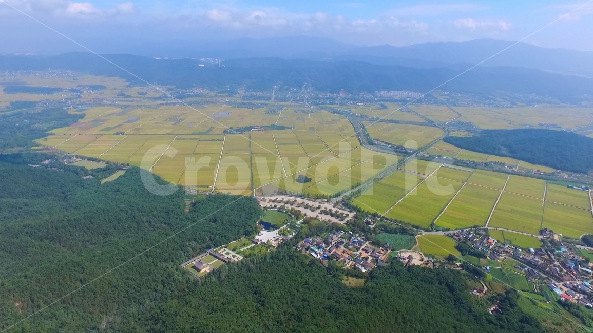 항공촬영,논밭,경주,남산,금오정,미세먼지,뿌연하늘,벼농사,시골풍경,농촌풍경,푸른논밭,연두색,평원,넓은논밭,풍성한,풍년,농사,구름,맑은날씨,산정상,쌀농사,귀촌,자연풍경,식물,논길,무기농,논농사,풀샷,시골,탁트인,시원한,그늘,숲,자연,풍경,nature,landscape,시골,마을,country,rural,town,경치,outdoors,옥외,scenery,aerial view,조감도