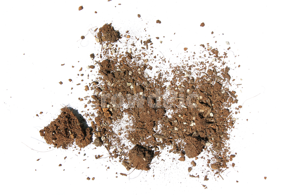 흙,모래,soil,sand,soiltexture,덩어리,탑앵글,흰배경,누끼,가루,흙가루,모래가루,갈색,브라운,텍스춰,건조한,black,botany,brown,closeup,compost,dark,dirt,dirty,dry,dust,grain,heap,humus,ingredient,macro,mineral,nobody,object,organic,path,powder,splash,spray,texture,topview,toxic,뿌린,누끼,remove background