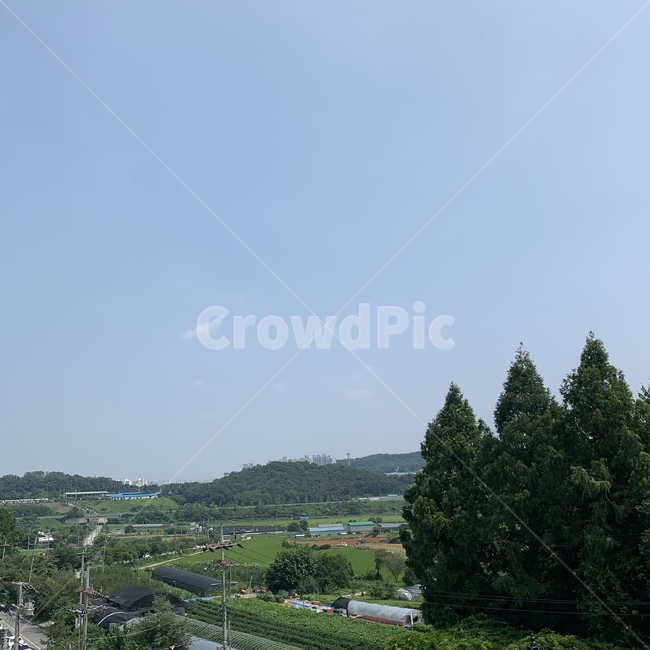 plant,식물,tree,나무,하늘,풍경,푸른,sky,자연,풍경,nature,landscape