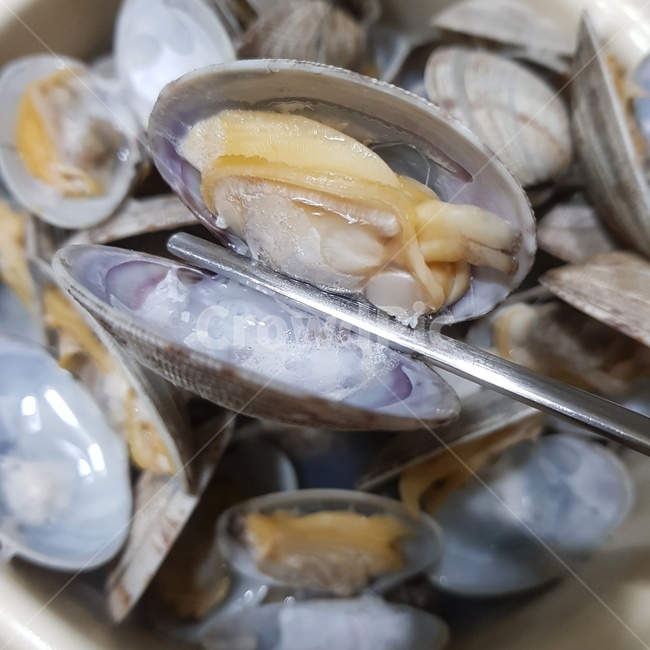 조개,조개구이,바지락,바지락국,해물,국산의힘,바지락해감,음식,식재료,요리,food,cook,meal,dishes,food reserves,수산물,해산물,fishery products,seafood