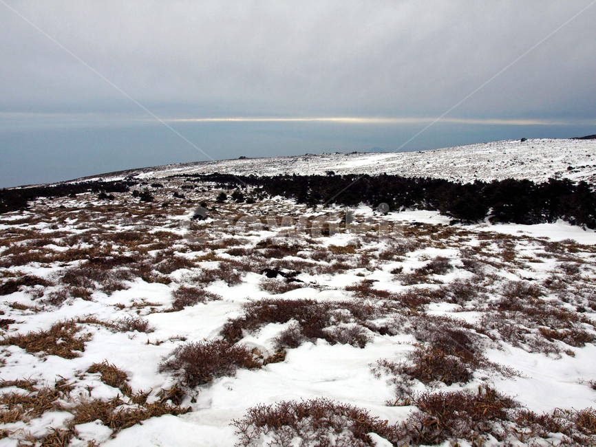 어리목,제주도,한라산,겨울산,겨울,설경,설화,눈,겨울,계절,winter,season,자연,풍경,nature,landscape,land,땅,outdoors,옥외,ground,바닥