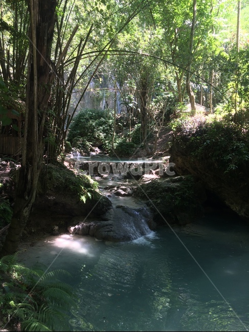 물,개울,계곡,폭포,호수,숲,자연,풍경,nature,landscape,water,outdoors,옥외,stream,흐름,creek,작은 만