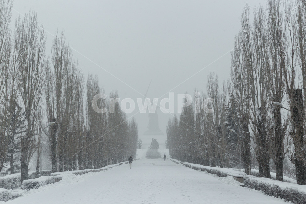 nature,자연,겨울,눈,눈보라,러시아,볼고그라드,winter,snow