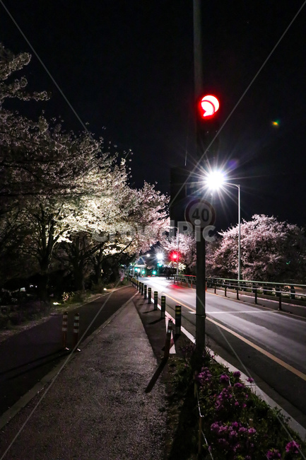 road,도로,asphalt,아스팔트,야경