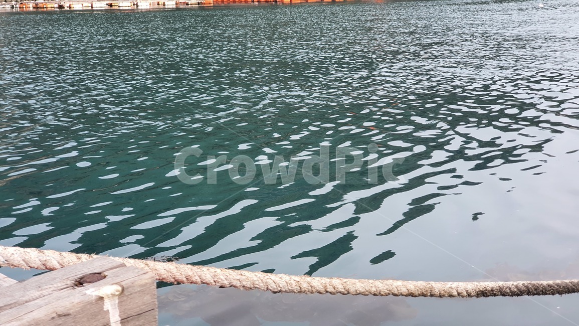 water,물,바다,sea,물결,wave