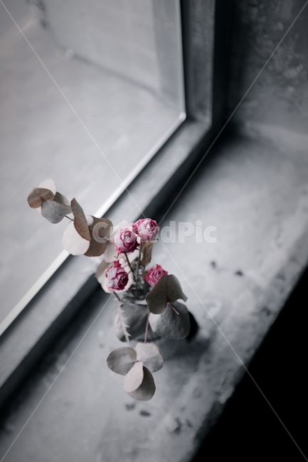 장미,조화,꽃병,까페,감성,꽃,flower,실내용화초,화분,화초,house plant,감성,sensible,feeling,흑백,모노톤,monochrome,black and white