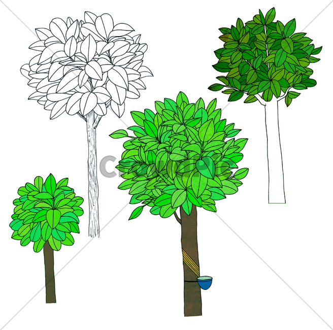 나무,tree,weed,손그림,handdrawing,고무나무,rubbertree,gum,plant,식물