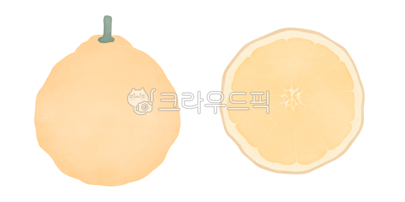 한라봉,단면,과일,겨울과일,제주도,과슈,수채화,일러스트,파스텔톤,미니멀,그림,부드러운,저채도,균형감,자연스러운,텍스처,질감,회화적,브러쉬,손그림,핸드드로잉,소프트,단순,담백,잔잔,차분