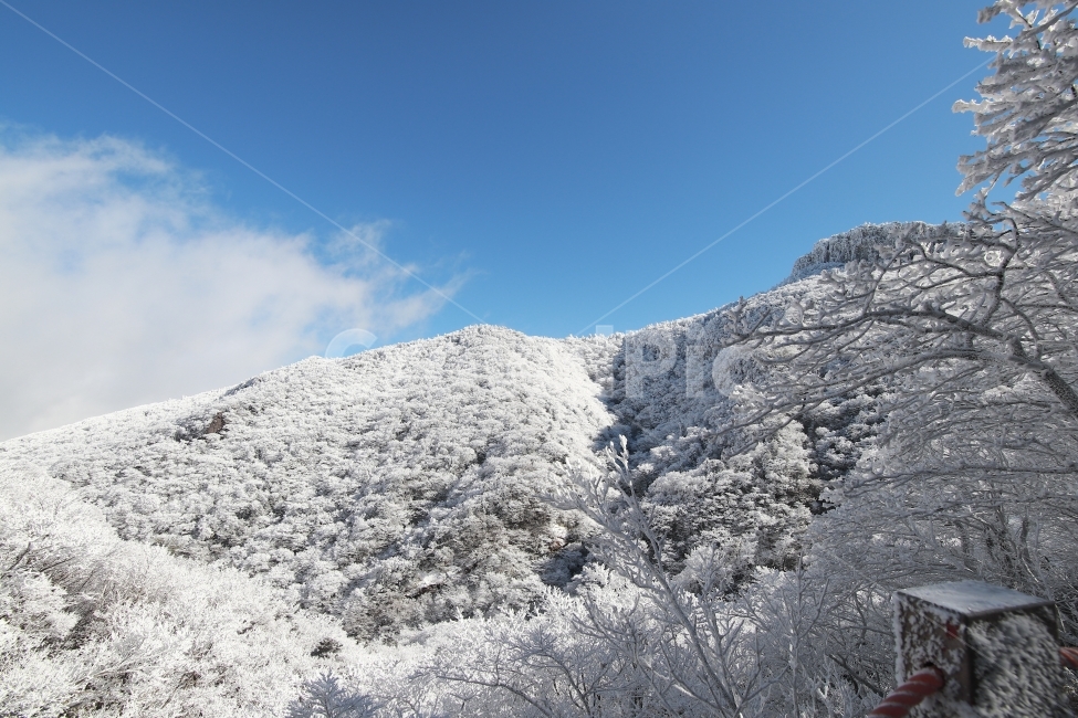 한라산,상고대,설산,겨울,겨울산행,눈꽃,진달래대피소,성판악,관음사,제주도,제주,백록담,겨울,계절,winter,season,자연,풍경,nature,landscape,한국자연풍경,한국자연경관,korea nature landscape,제주도,jeju,jeju island,outdoors,옥외