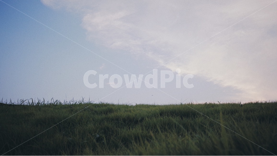 잔디,가을,하늘,들판,캘리그라피배경,감성,자연,풍경,nature,landscape,outdoors,옥외,building,건물,architecture,건축물