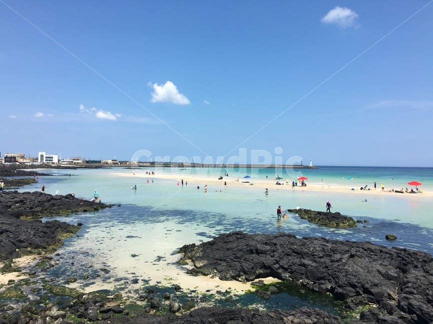제주도,제주,바다,세화해변,여름,해변,바다,beach,sea,사람들,대중,군중,other people,crowd