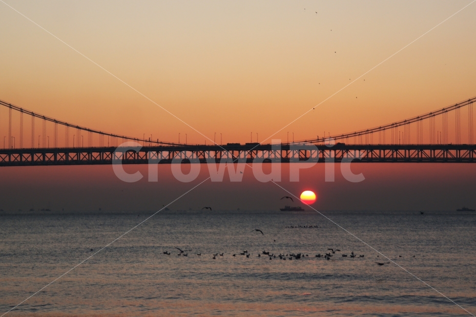 일출,해돋이,광안리,광안리해수욕장,광안대교,신정,바다,갈매기,태양,자연,풍경,nature,landscape,랜드마크,landmark,tourist attraction,building,건물,bridge,다리
