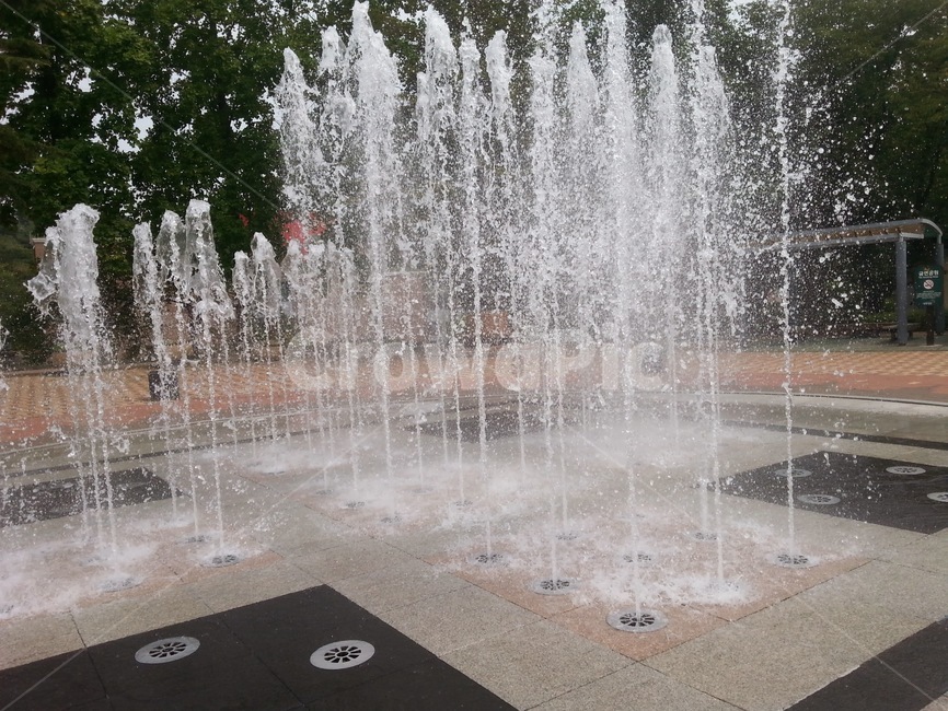 공원,여름,분수대,시원,재미,여름,계절,summer,season,water,물,fountain,분수