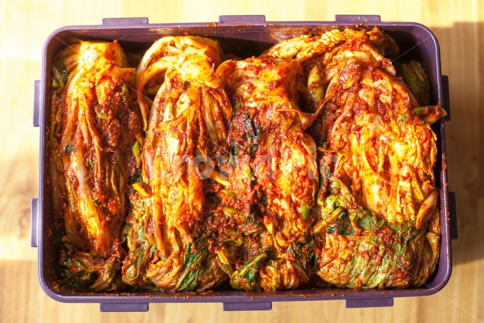 김장,김장김치,반찬,김치,김장문화,품앗이,11월,김장철,배추,배추김치,양념,한국문화,고추가루,김치재료,한국전통,음식,식재료,요리,foodcook,채소,야채,한식,한국음식,한국요리,koreanfood,sidedish,겨울반찬,수육,돼지고기,고기수육,별미,한국전통,한국문화,korean traditional,korean culture,음식,식재료,요리,food,cook,meal,dishes,food reserves,채소,야채,vegetables,한식,한국음식,한국요리,korean food,korean dishes,korean meal,korean cook