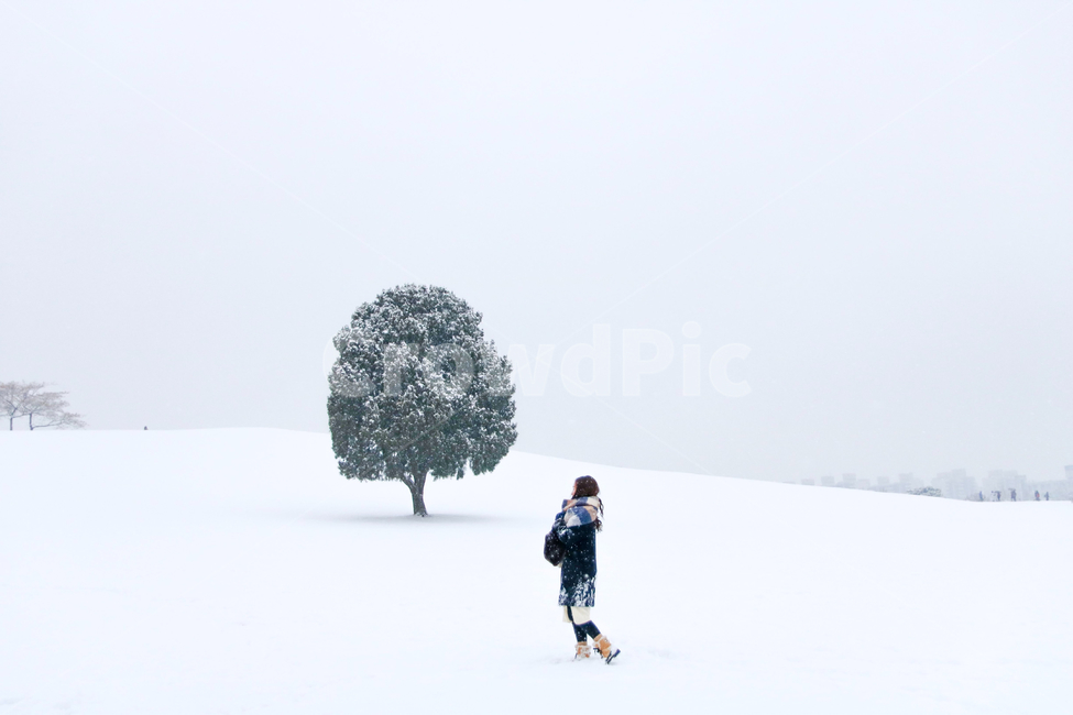 person,사람,human,나무,인간,눈,설경,올림픽공원,나홀로나무,겨울,계절,winter,season,사람,인물,인간,human,person,여성,여자,woman,female,lady