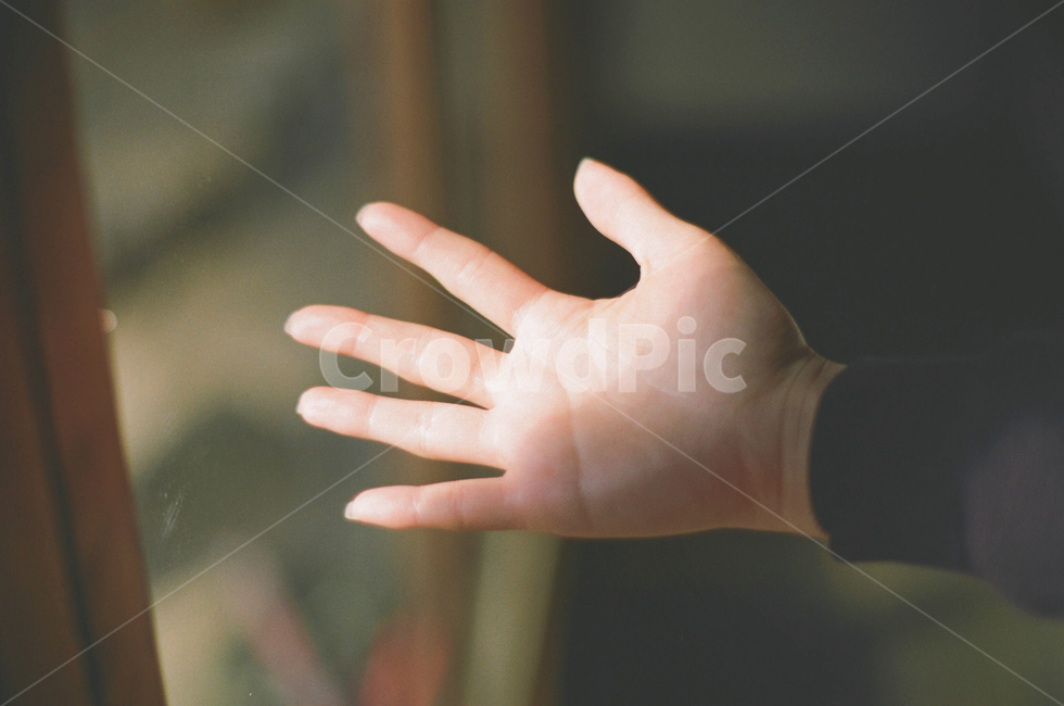 필름사진,손,손바닥,손금,빛,사람,인물,인간,human,person,신체일부,몸,body