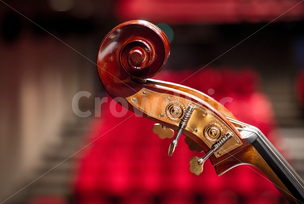 오케스트라,더블베이스,무대,스냅,시선,악기,음향기기,musical instrument,musical equipment