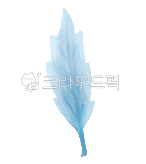 blade of grass,leaf,Plant,leaves,botanical,plant illustration,flower illustration,grass,herb