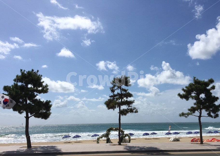 풍경,바다,나무,모래사장,시원함,자연,풍경,nature,landscape,outdoors,옥외,ocean,대양,sea,water,물,shoreline,해안선,tree,plant,식물